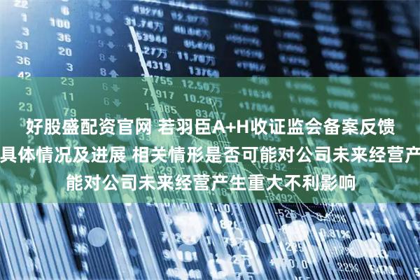 好股盛配资官网 若羽臣A+H收证监会备案反馈:说明未决诉讼具体情况及进展 相关情形是否可能对公司未来经营产生重大不利影响