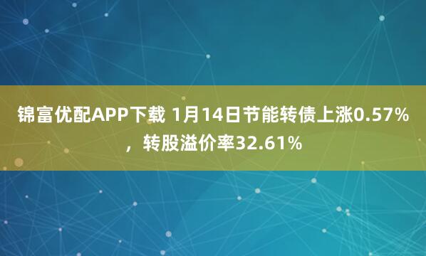 锦富优配APP下载 1月14日节能转债上涨0.57%，转股溢价率32.61%